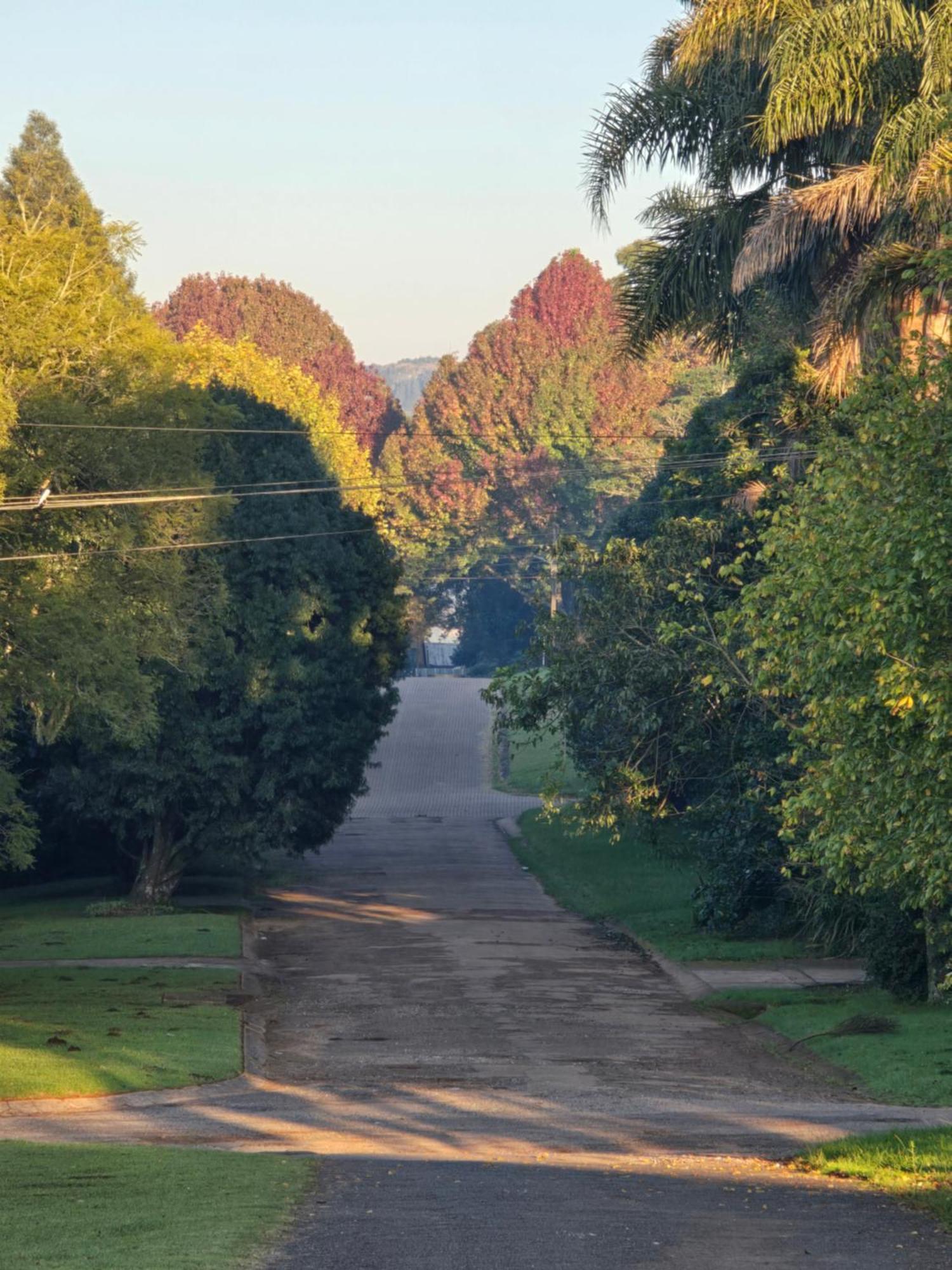 Mosswood Bed & Breakfast Graskop Exterior foto